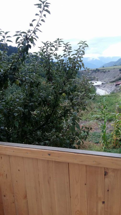 Guesthouse Guram Baba Mestia Exterior photo
