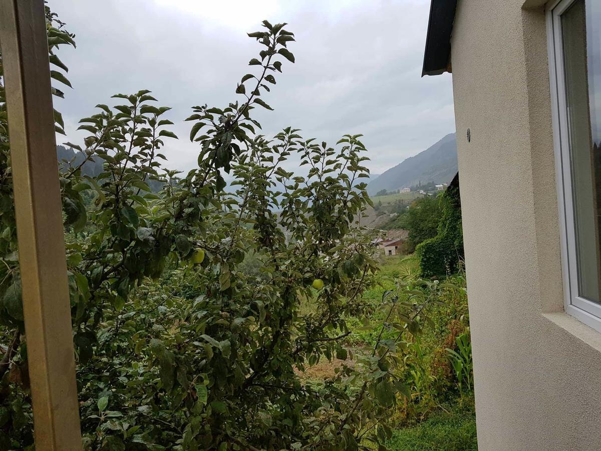 Guesthouse Guram Baba Mestia Exterior photo